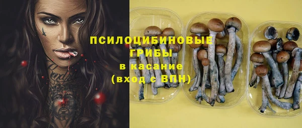 ПСИЛОЦИБИНОВЫЕ ГРИБЫ Балахна